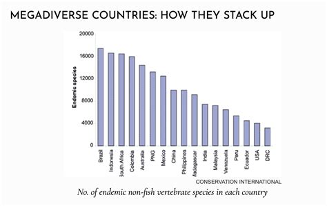 mega diversity countries|Megadiverse Countries 2024 .